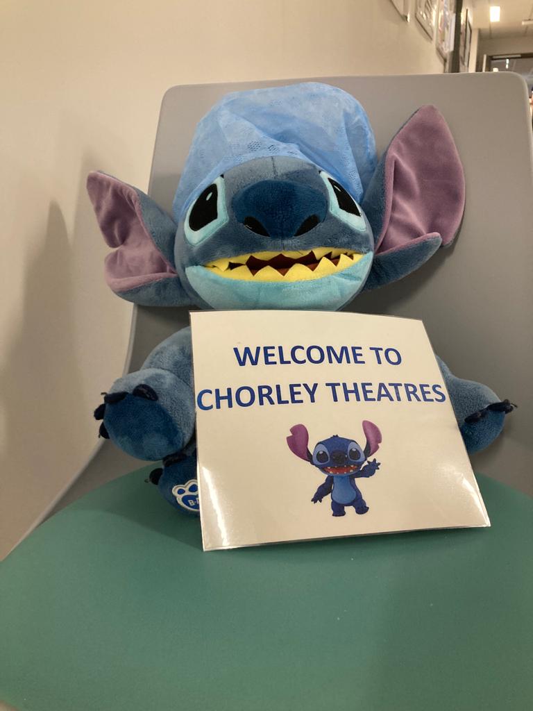 Photo of a plush cartoon character from Lilo & Stitch