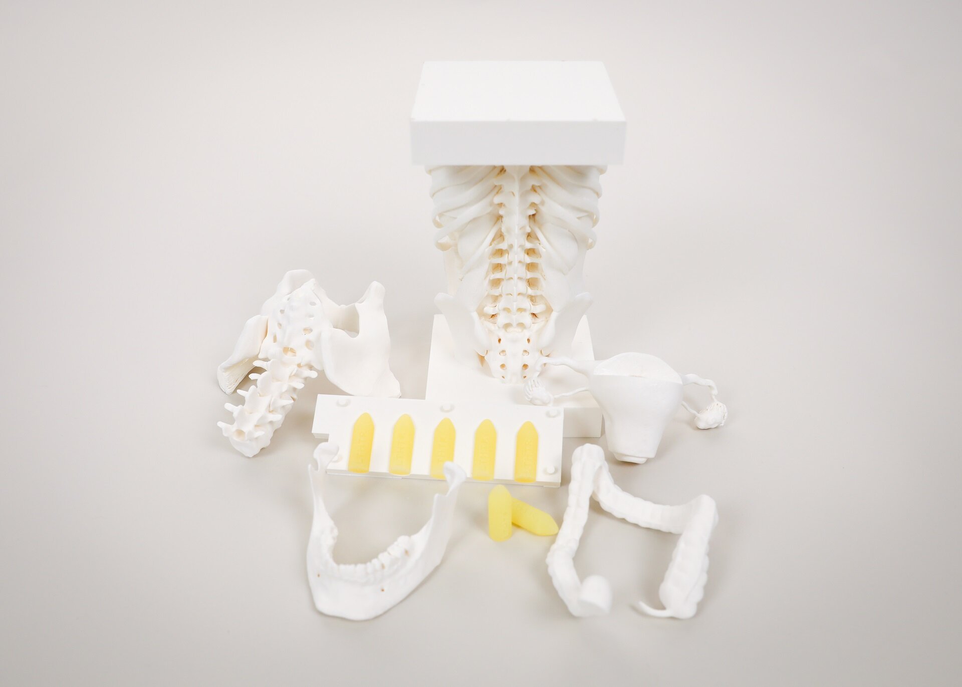 A photo of 3D-printed bones