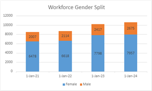 workforce gender split