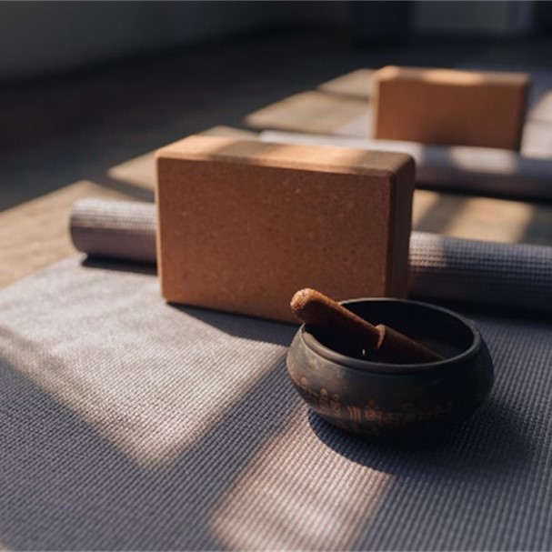 Development through Training