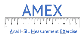 AMEX logo