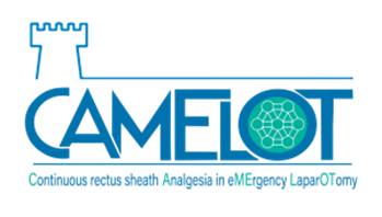 Camelot Logo
