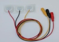 ECG leads